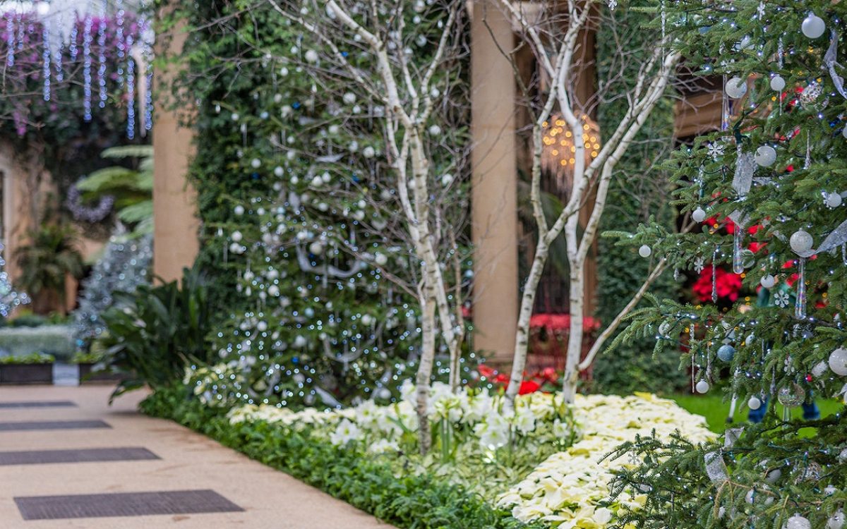 A Longwood Christmas Longwood Gardens
